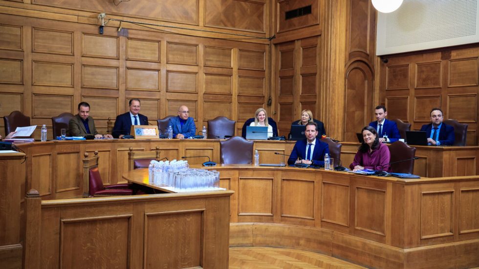 epitropi tis voulis ergasiako